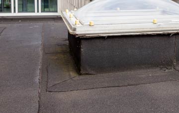 disadvantages of Walpole Marsh flat roofs
