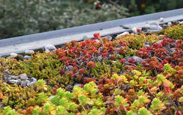 the cost of Walpole Marsh green roof installation