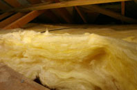 Walpole Marsh pitch roof insulation